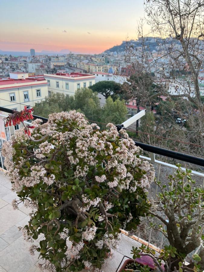 Sunrise Sweet Appartement *